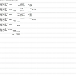 financieel jaaroverzicht 2025